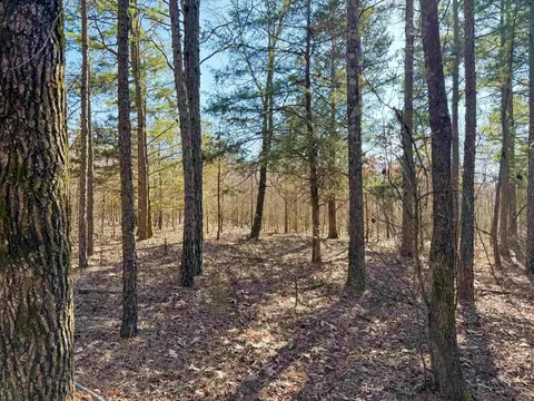 100 Guy Ln, Quitman, AR 72131
