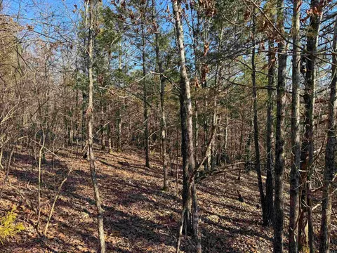 100 Guy Ln, Quitman, AR 72131 photo 10