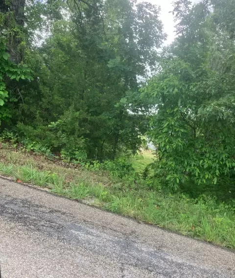 8521 Byron Rd, Salem, AR 72576 photo 12