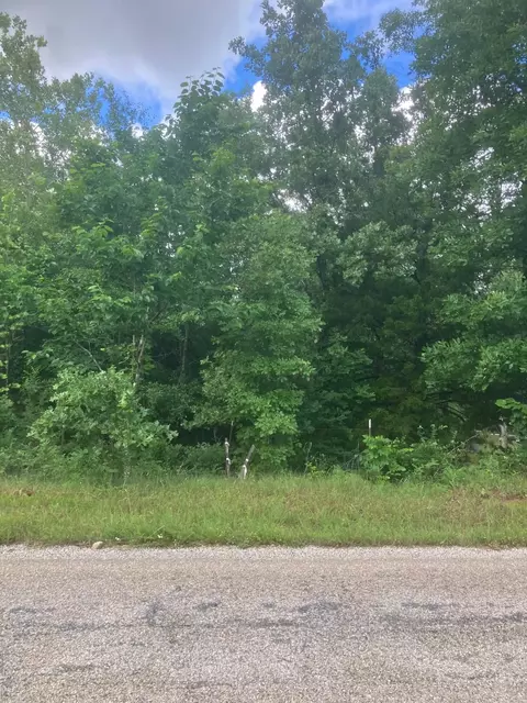 8521 Byron Rd, Salem, AR 72576 photo 4