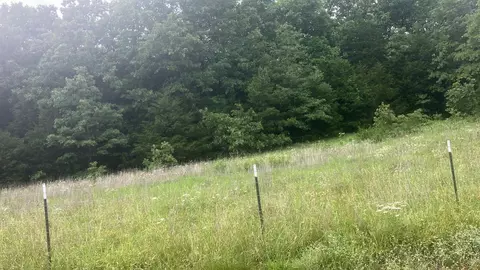 8521 Byron Rd, Salem, AR 72576 photo 11