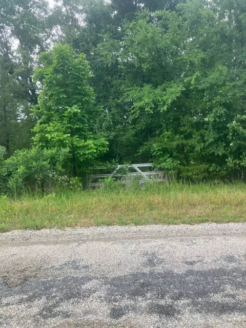 8521 Byron Rd, Salem, AR 72576 photo 3