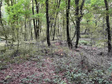 Williams North St, Horatio, AR 71842 photo 4