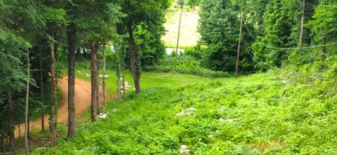 View/Area - 232 Double Bridge Loop, Mountain View, AR 72560 photo 1 of 2