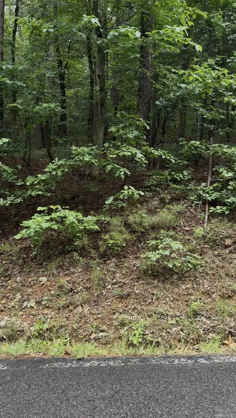 000 White Oak Ct, Fairfield Bay, AR 72088