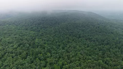 120 Cr 23, Melbourne, AR 72556