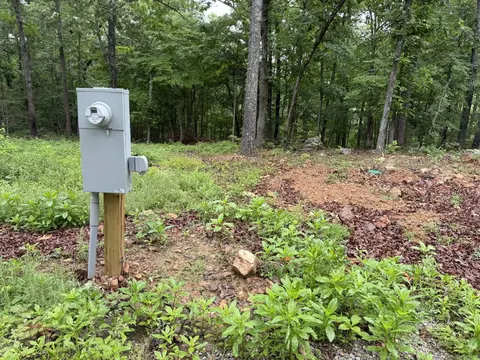 37 Tall Pine Cir, Norfork, AR 72658 photo 7