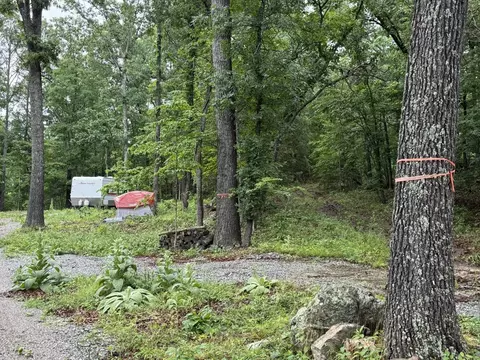 37 Tall Pine Cir, Norfork, AR 72658 photo 6