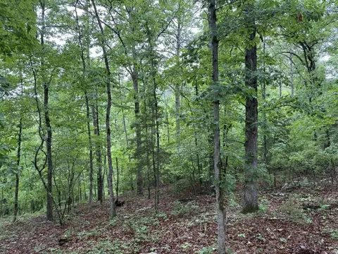37 Tall Pine Cir, Norfork, AR 72658 photo 12
