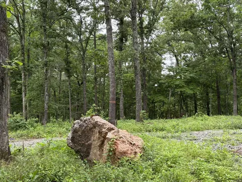 37 Tall Pine Cir, Norfork, AR 72658 photo 5