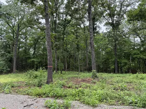 37 Tall Pine Cir, Norfork, AR 72658 photo 2