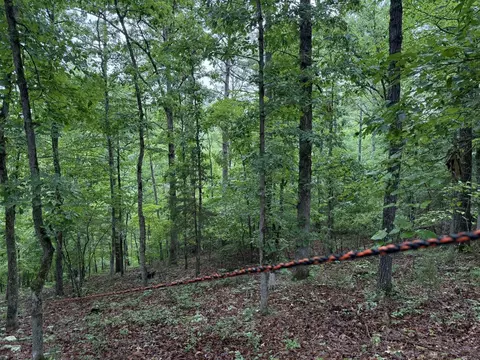 37 Tall Pine Cir, Norfork, AR 72658 photo 11