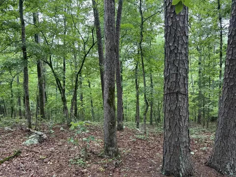 37 Tall Pine Cir, Norfork, AR 72658 photo 9