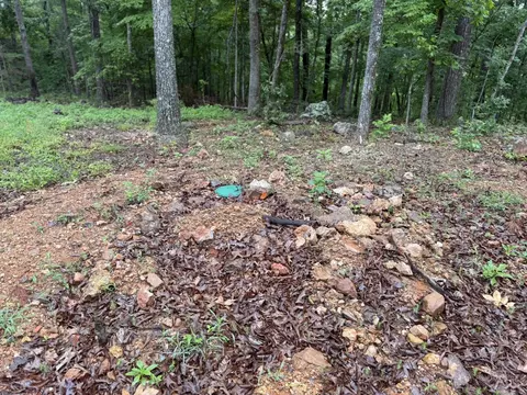 37 Tall Pine Cir, Norfork, AR 72658 photo 8