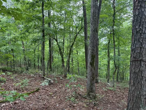 37 Tall Pine Cir, Norfork, AR 72658 photo 10