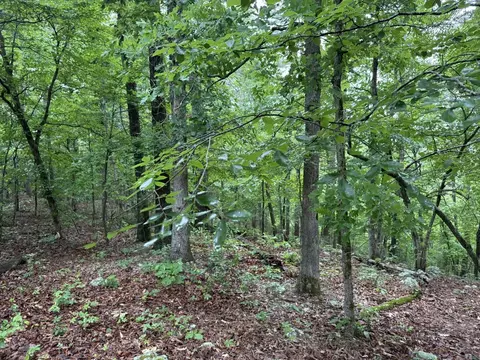 37 Tall Pine Cir, Norfork, AR 72658 photo 13