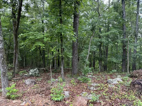 37 Tall Pine Cir, Norfork, AR 72658 photo 3