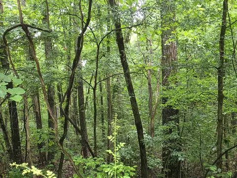 2 Saskatchewan Drive # l 47 b, Cherokee Village, AR 72529