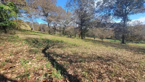 000 Fox Chase, Flippin, AR 72634 photo 3