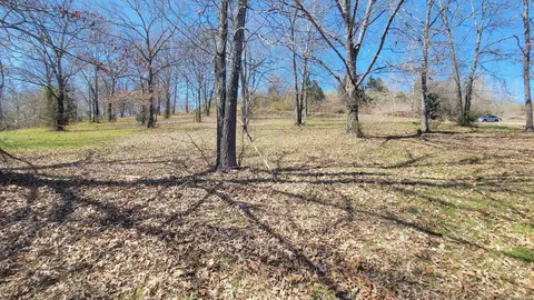 000 Fox Chase, Flippin, AR 72634 photo 5