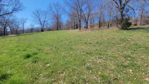000 Fox Chase, Flippin, AR 72634 photo 6