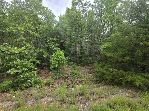 L-10, Cherokee Village, AR 72529