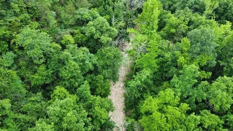 000 Cedar Hills Rd, Mountain View, AR 72560 photo 9