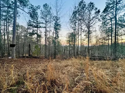 6 Ramblewood Trail, Yellville, AR 72687