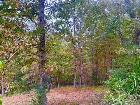 814 Herpel Rd, Mountain View, AR 72560 photo 19