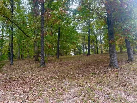 814 Herpel Rd, Mountain View, AR 72560 photo 15