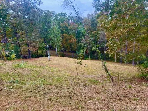 814 Herpel Rd, Mountain View, AR 72560 photo 14