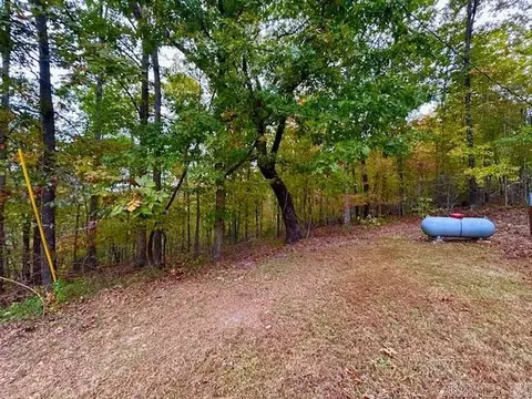 814 Herpel Rd, Mountain View, AR 72560 photo 10