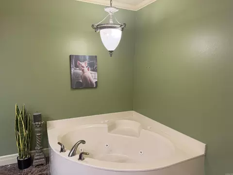 Bath - 9421 Jimbert Dr, Pine Bluff, AR 71603 photo 4 of 6