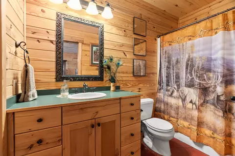 Bath - 205 Spring Rd, Searcy, AR 72143 photo 7 of 7