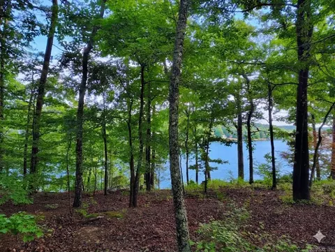 6 Sacedon Cir, Hot Springs Village, AR 71909