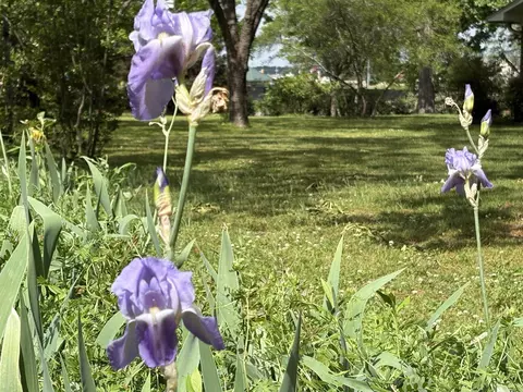 Other - 525 Central Landing Blvd, Conway, AR 72032 photo 5 of 5