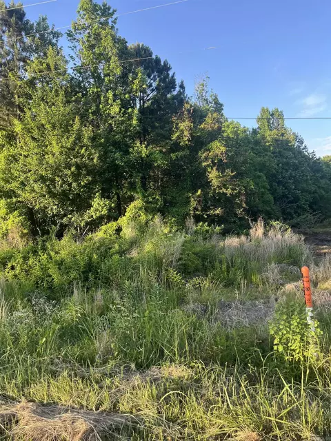 lot23 Kennedy Sherwood Frst, Monticello, AR 71655