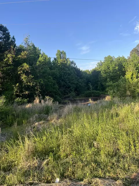 lot26 Kennedy St Sherwood Frst, Monticello, AR 71655