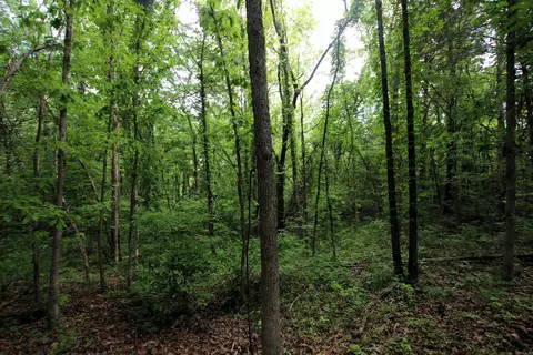 000 River Rd, Hardy, AR 72542 photo 43
