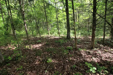 000 River Rd, Hardy, AR 72542 photo 35