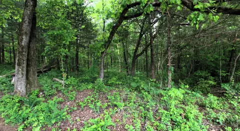 000 River Rd, Hardy, AR 72542 photo 50