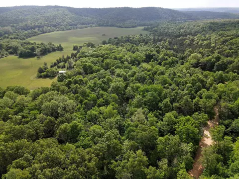 000 River Rd, Hardy, AR 72542 photo 7