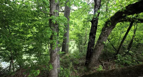 000 River Rd, Hardy, AR 72542 photo 47