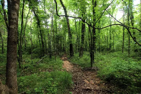 000 River Rd, Hardy, AR 72542 photo 41