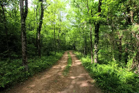 000 River Rd, Hardy, AR 72542 photo 29