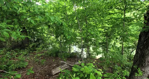 000 River Rd, Hardy, AR 72542 photo 46