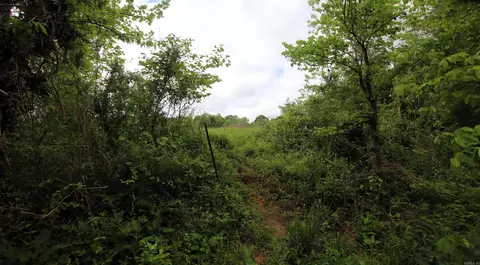 000 River Rd, Hardy, AR 72542 photo 25
