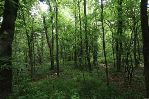 000 River Rd, Hardy, AR 72542 photo 40