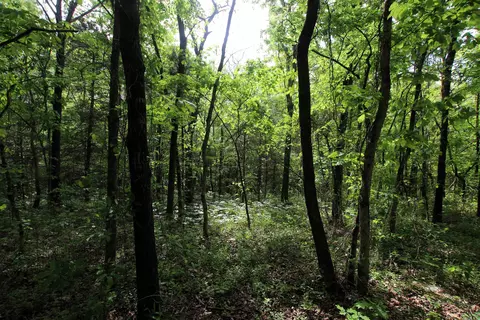 000 River Rd, Hardy, AR 72542 photo 36