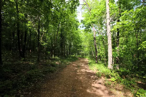 000 River Rd, Hardy, AR 72542 photo 28